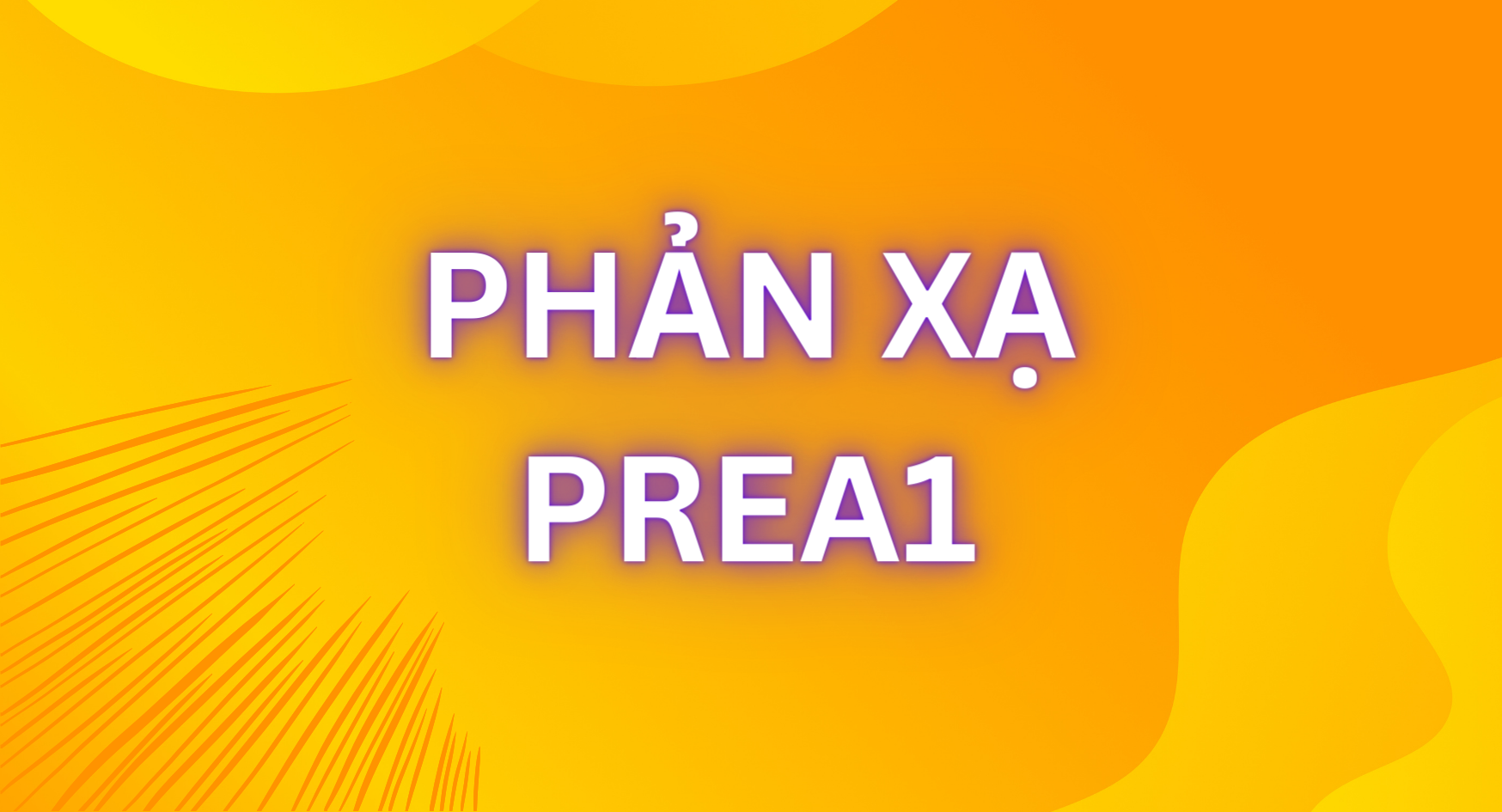 PHẢN XẠ - PREA1